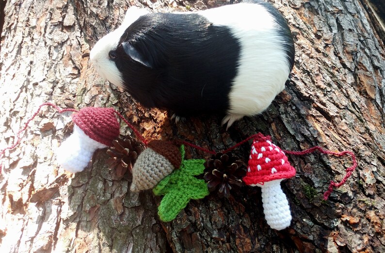 Peut inclure: Une guirlande en crochet avec des champignons rouges et blancs, un gland brun et une feuille verte. La guirlande est suspendue &agrave; un tronc d'arbre avec un cochon d'Inde noir et blanc en arri&egrave;re-plan.