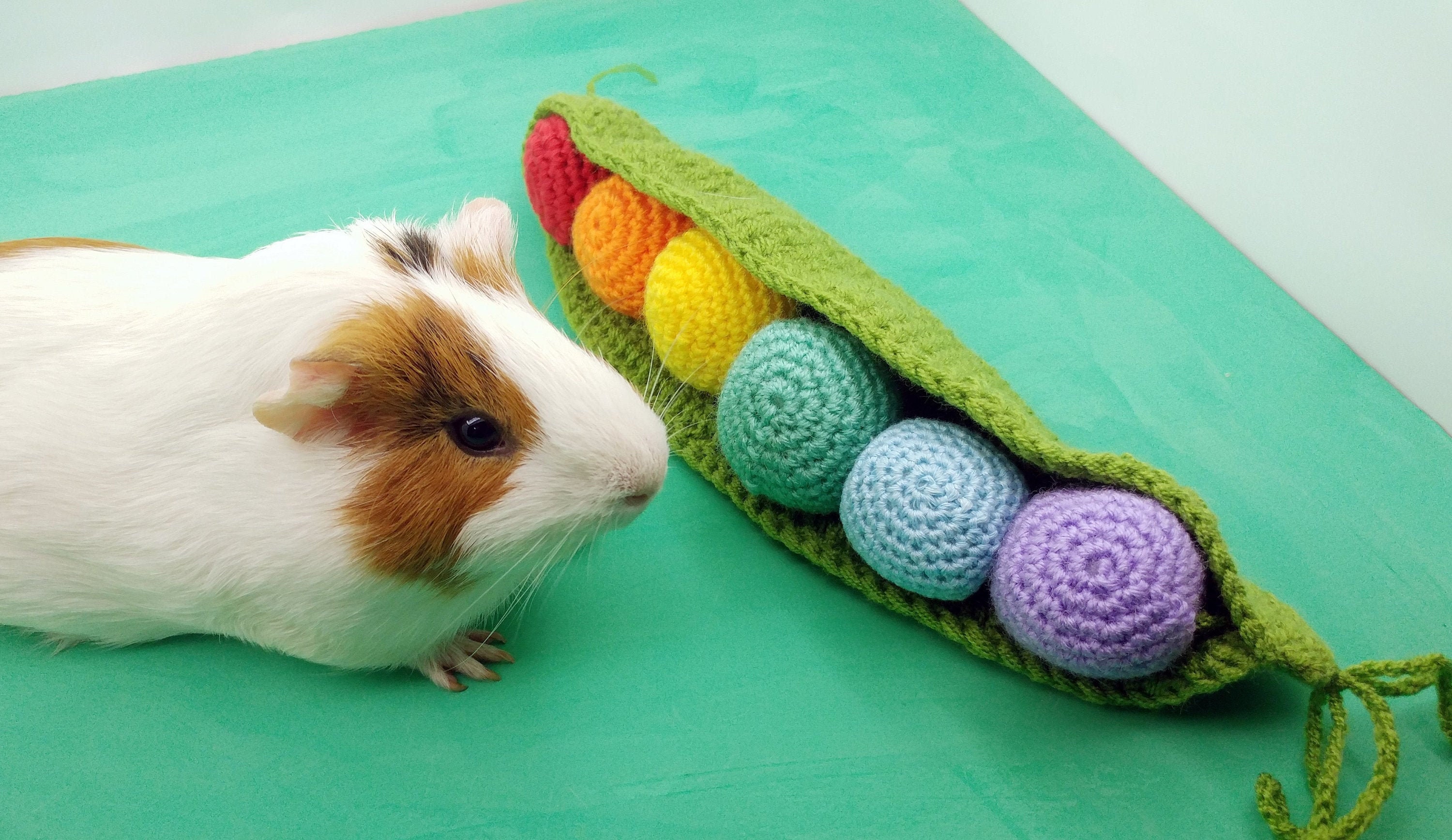 Guinea pig rainbow peas pillow toy. Funny guinea pig gift. Etsy