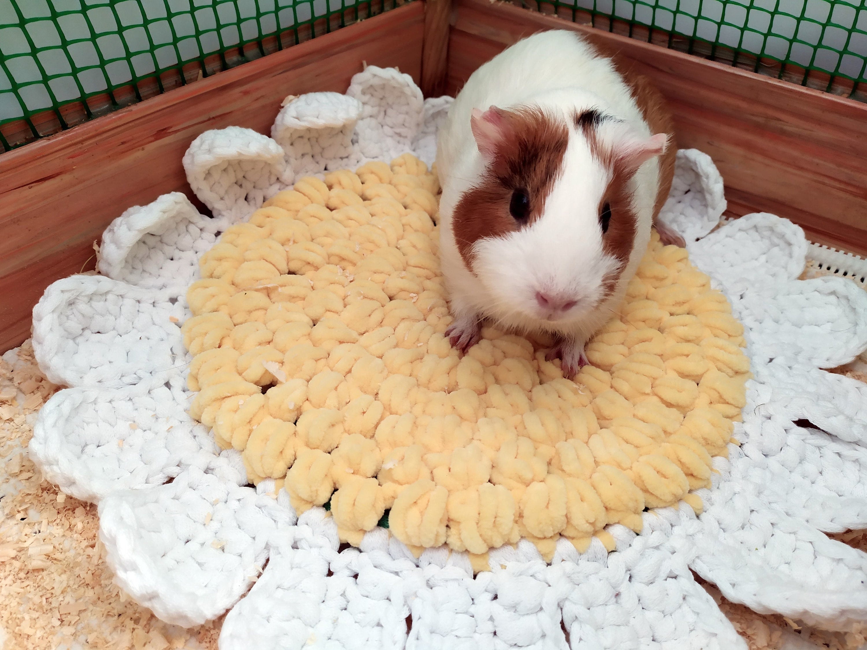 Daisy Guinea Pig Bed: Handmade Cotton Cozy Pet Bed