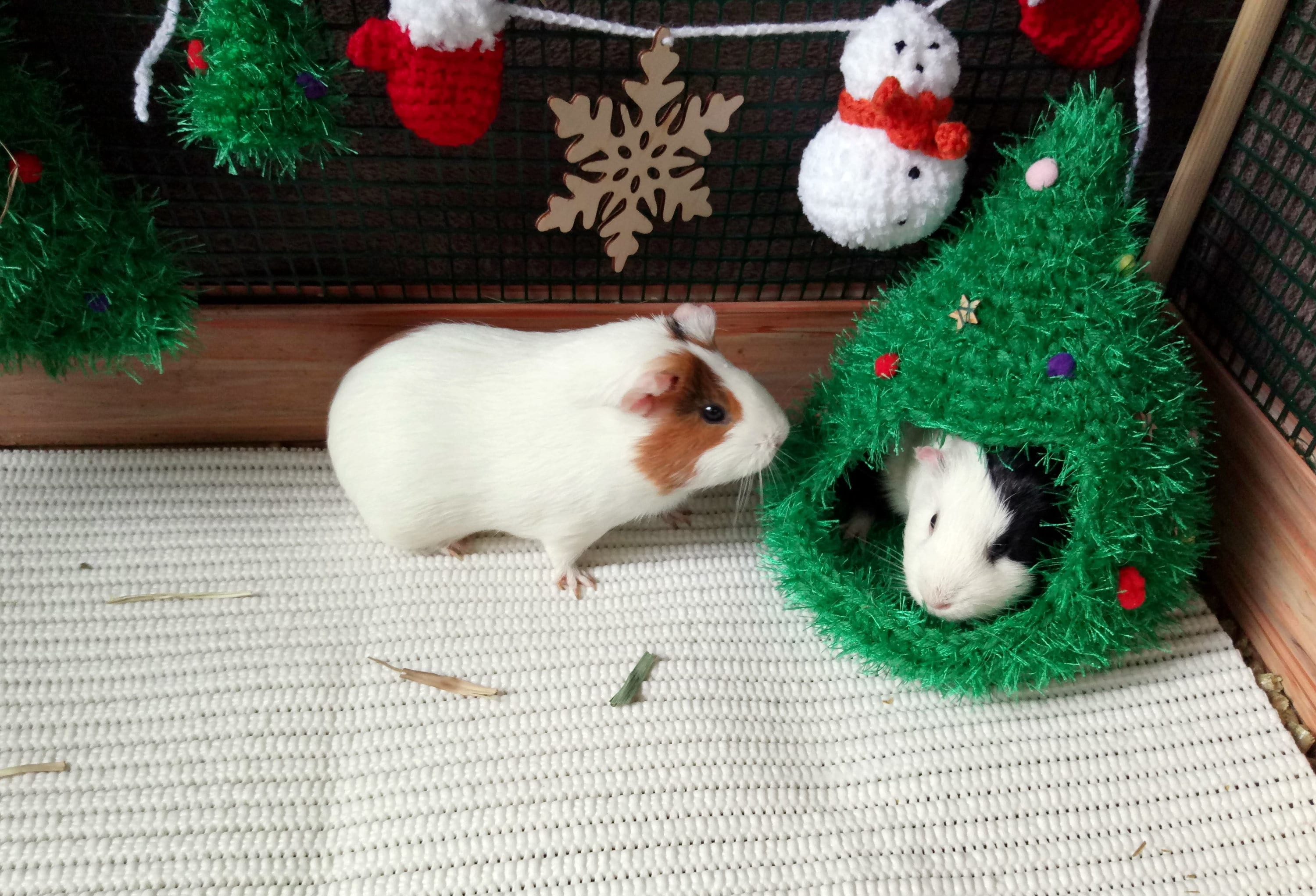 Christmas Tree House for Small Pets Guinea Pig Tree House Etsy Canada