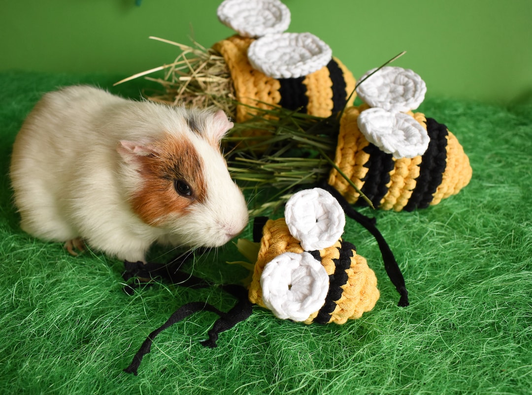 Photo inspiration: Fresh Look at Set Of Three Feeders Toy For Guinea Pigs Rabbits And