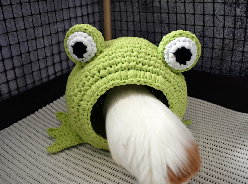 Guinea pig frog house for cage. Small pet house. Funny guinea pig gift image 9