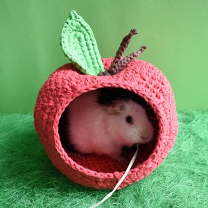 Guinea pig red apple house for cage. Small pet house. Funny guinea pig gift image 6