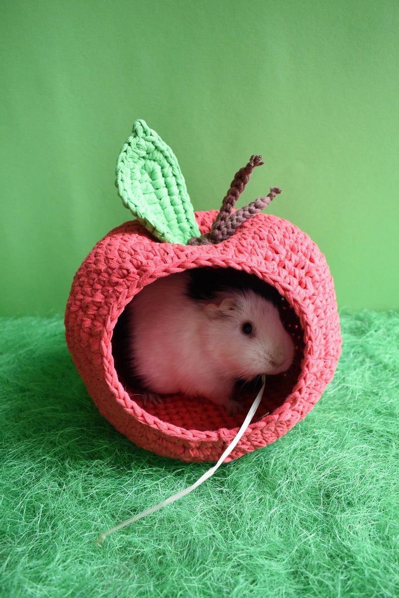 Guinea pig red apple house for cage. Small pet house. Funny guinea pig gift image 6