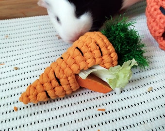 Carrot toy for guinea pigs or other small animal! Best guinea pig toys!