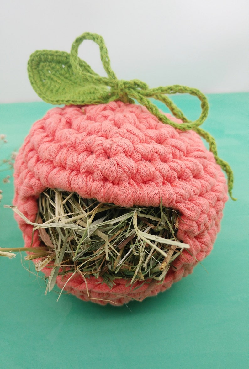 Guinea pig hay feeder. Guinea pig apple hay bag. Small pet Etsy