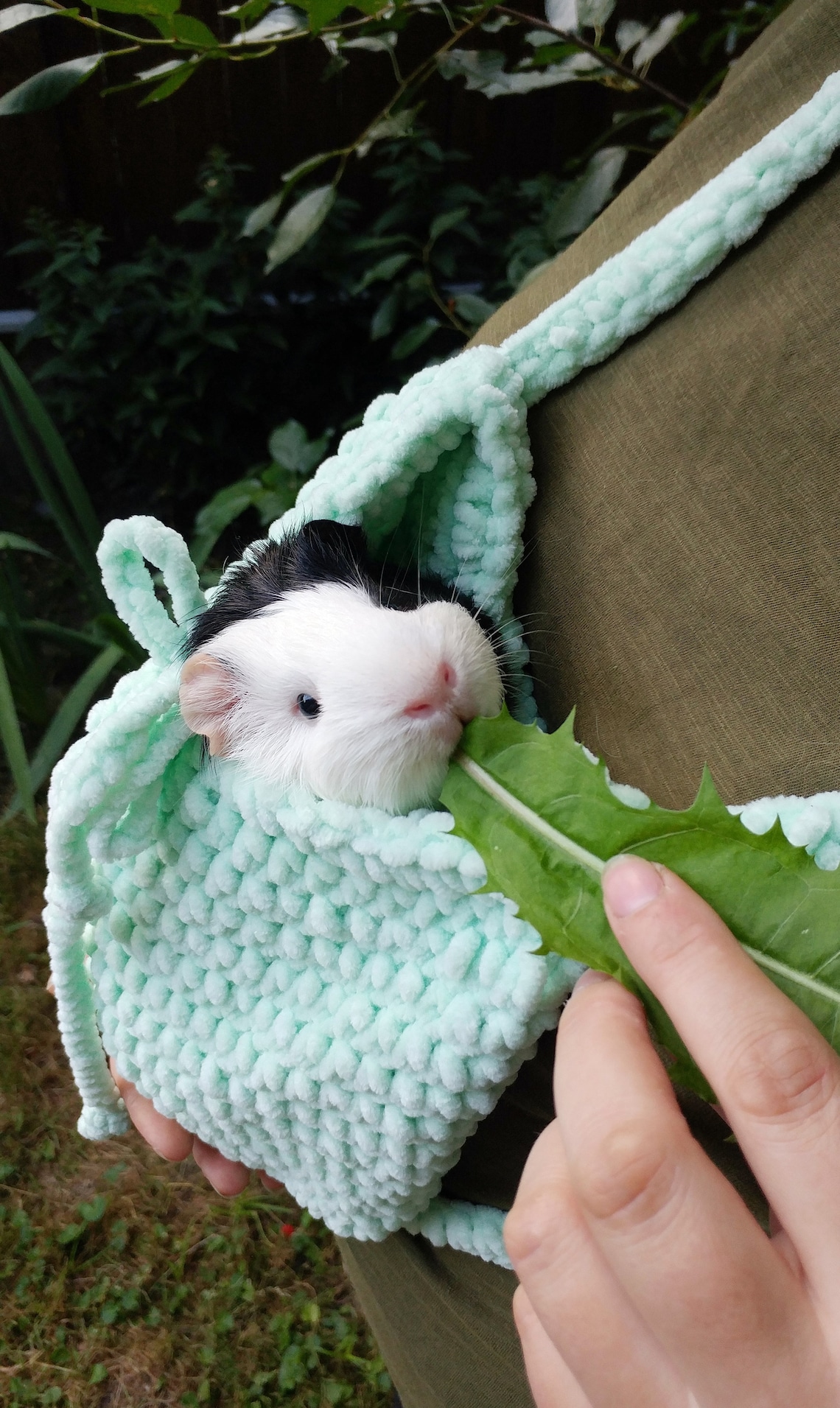 Guinea Pig Mint Carrier. Small Pet Soft Cozy Carrier. Etsy