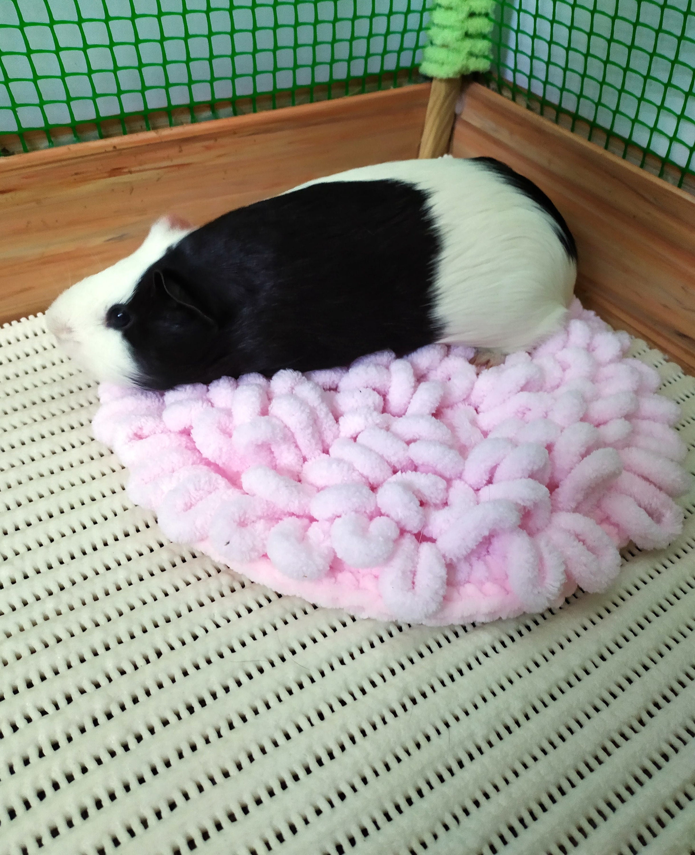 Guinea pig pink cozy soft bed. Small pet soft bed. Etsy