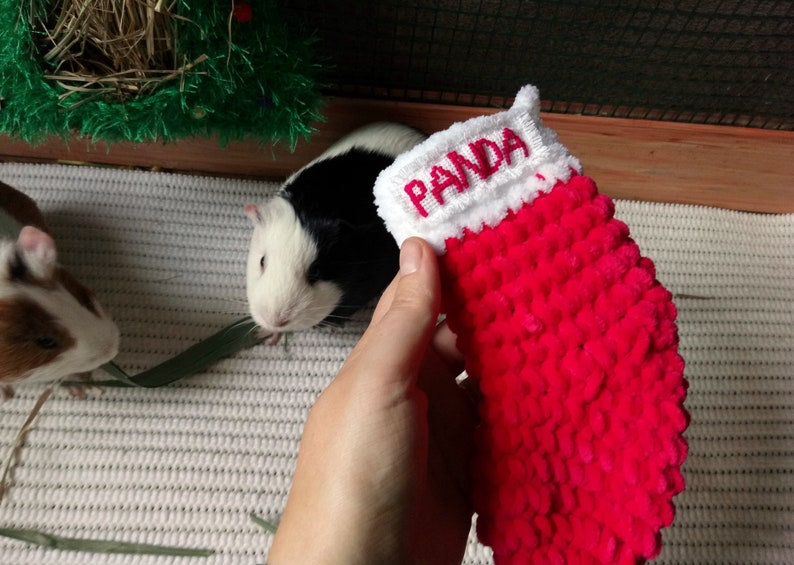 Personalized guinea pig christmas stocking Funny guinea pig Christmas gift image 10