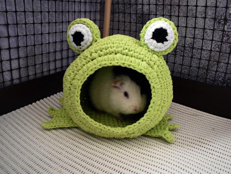Guinea pig frog house for cage. Small pet house. Funny guinea pig gift image 8