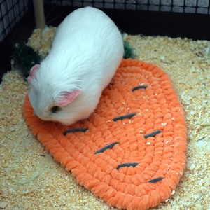 Carrot Soft Bed for Guinea Pig | Small Pet Carrot Soft Bed | Guinea Pig Accessories | Funny Gift for Pet Lovers