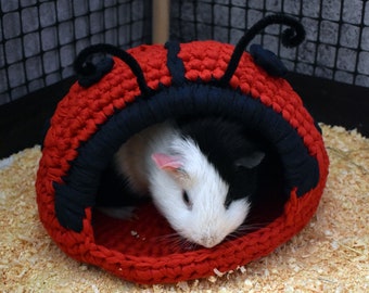 Guinea pig ladybug house for cage. Small pet house. Funny guinea pig gift!