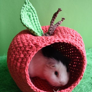 Guinea pig red apple house for cage. Small pet house. Funny guinea pig gift image 2