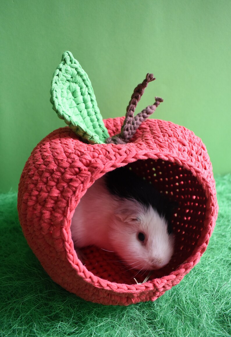 Guinea pig red apple house for cage. Small pet house. Funny guinea pig gift image 2