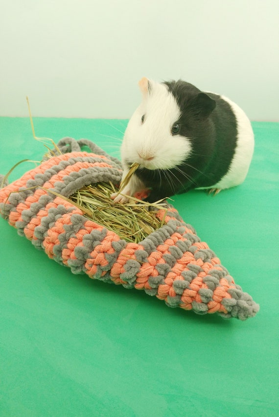 Guinea Pig Hay Bag Small Pet Hay Feeder Guinea Pig Unique Etsy