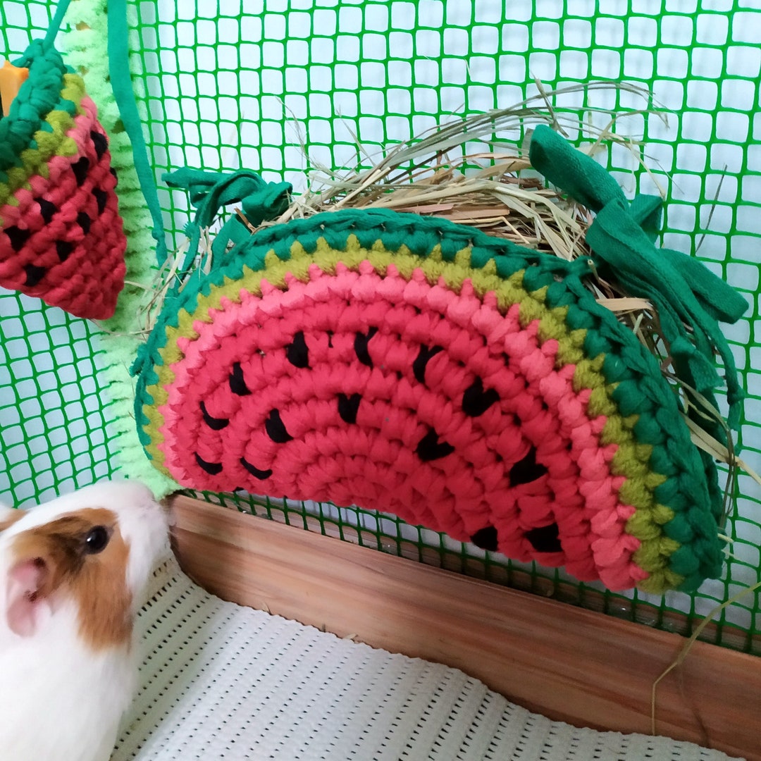 Guinea Pig Watermelon Hay Bag. Small Pet Hay Feeder. Guinea Etsy
