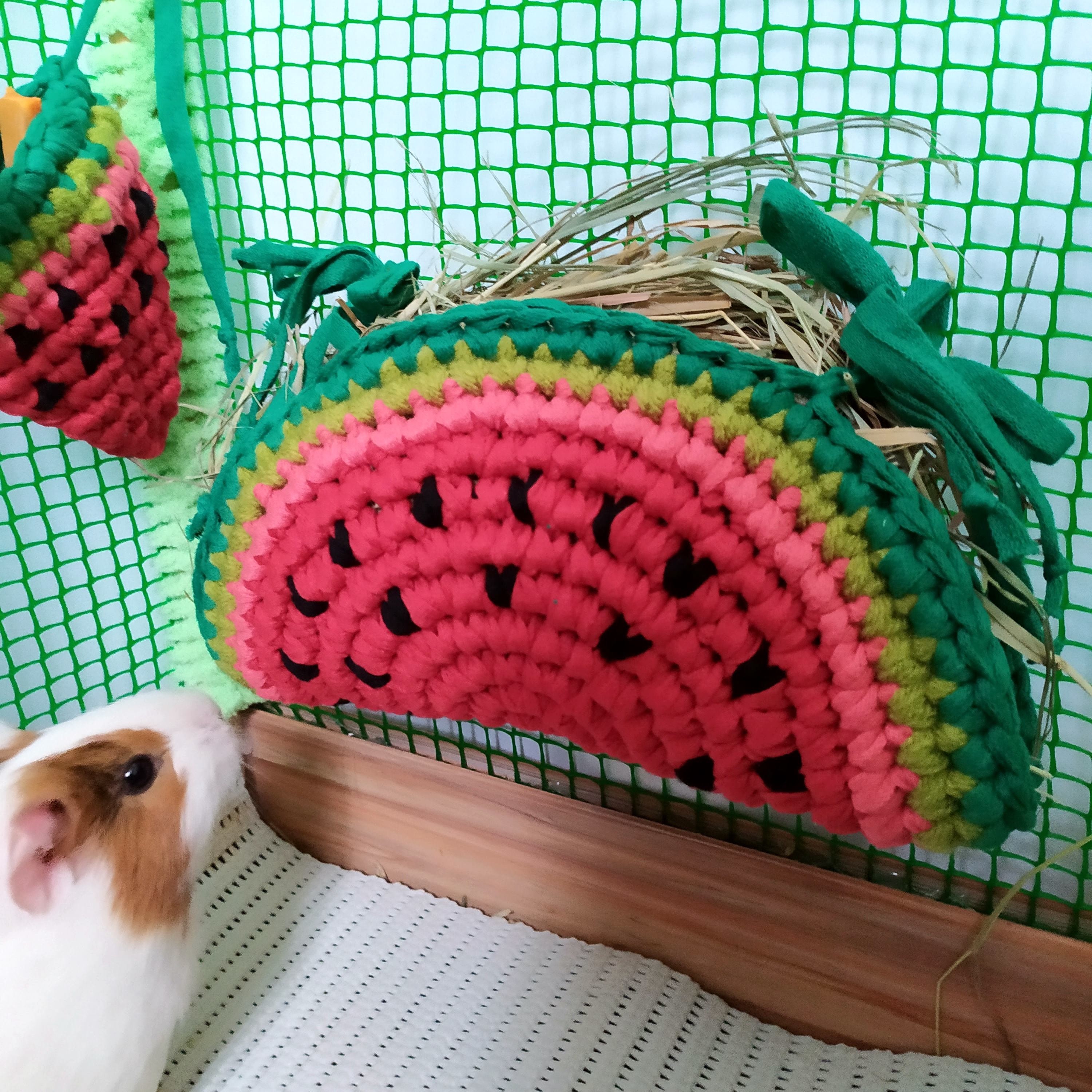Guinea Pig Watermelon Hay Bag. Small Pet Hay Feeder. Guinea Etsy