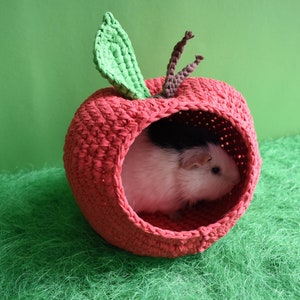 Guinea pig red apple house for cage. Small pet house. Funny guinea pig gift image 5