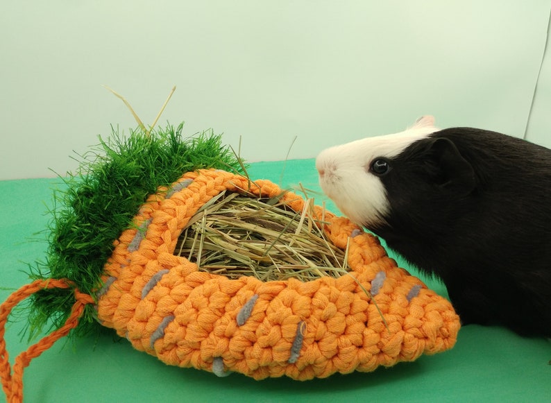 Guinea pig carrot hay bag. Small pet hay feeder. Guinea pig Etsy