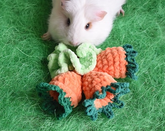 Carrot Foraging Toy for Guinea Pig or Small pets • Carrot Snuffle toy • Guinea Pig Toys