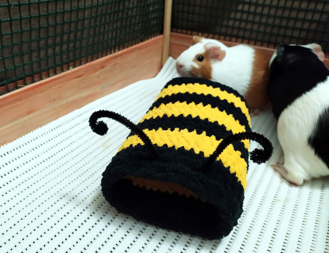Beautiful view of Guinea Pig Cozy Cage Accessories