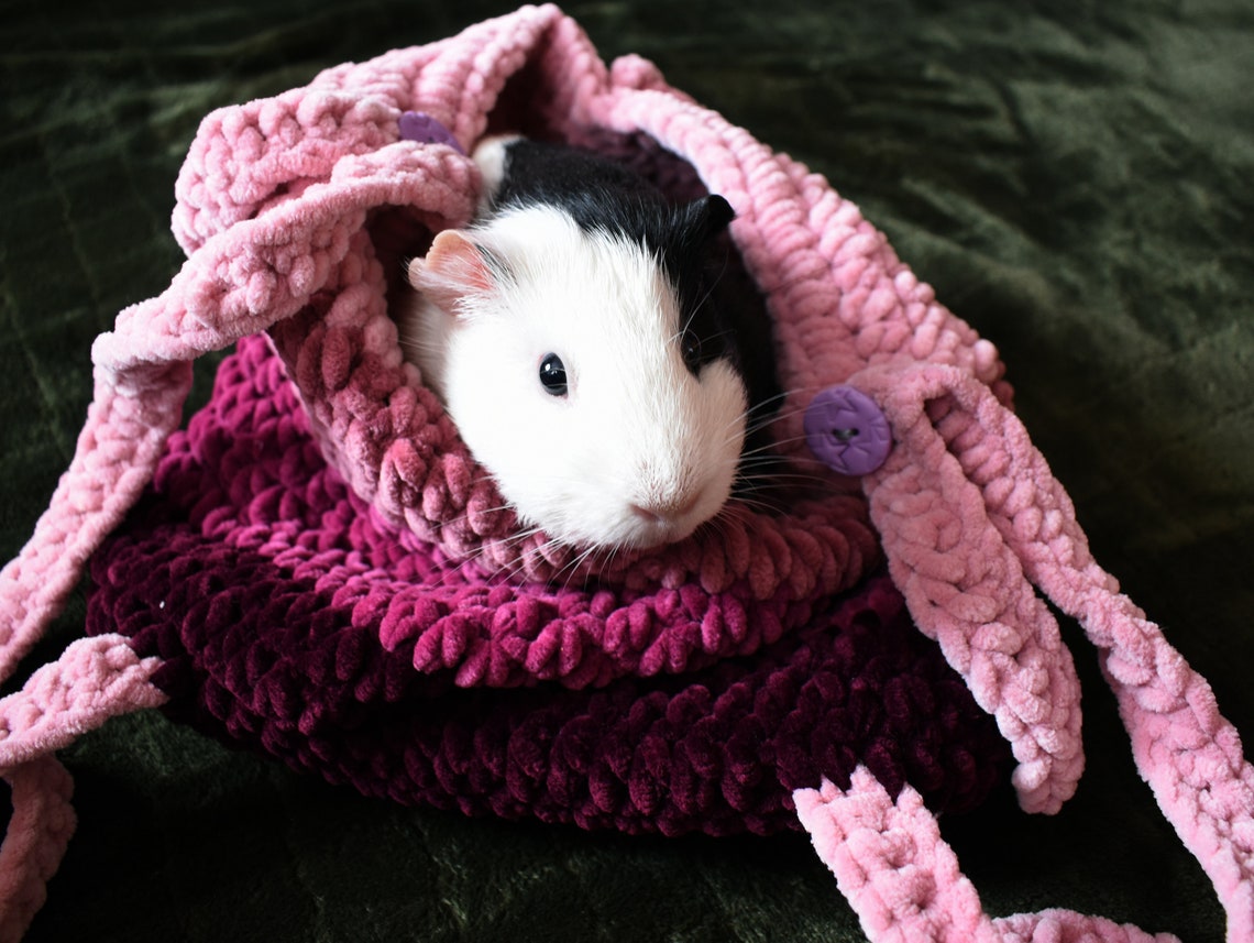Guinea pig purple carrier Small pet soft cozy carrier Etsy