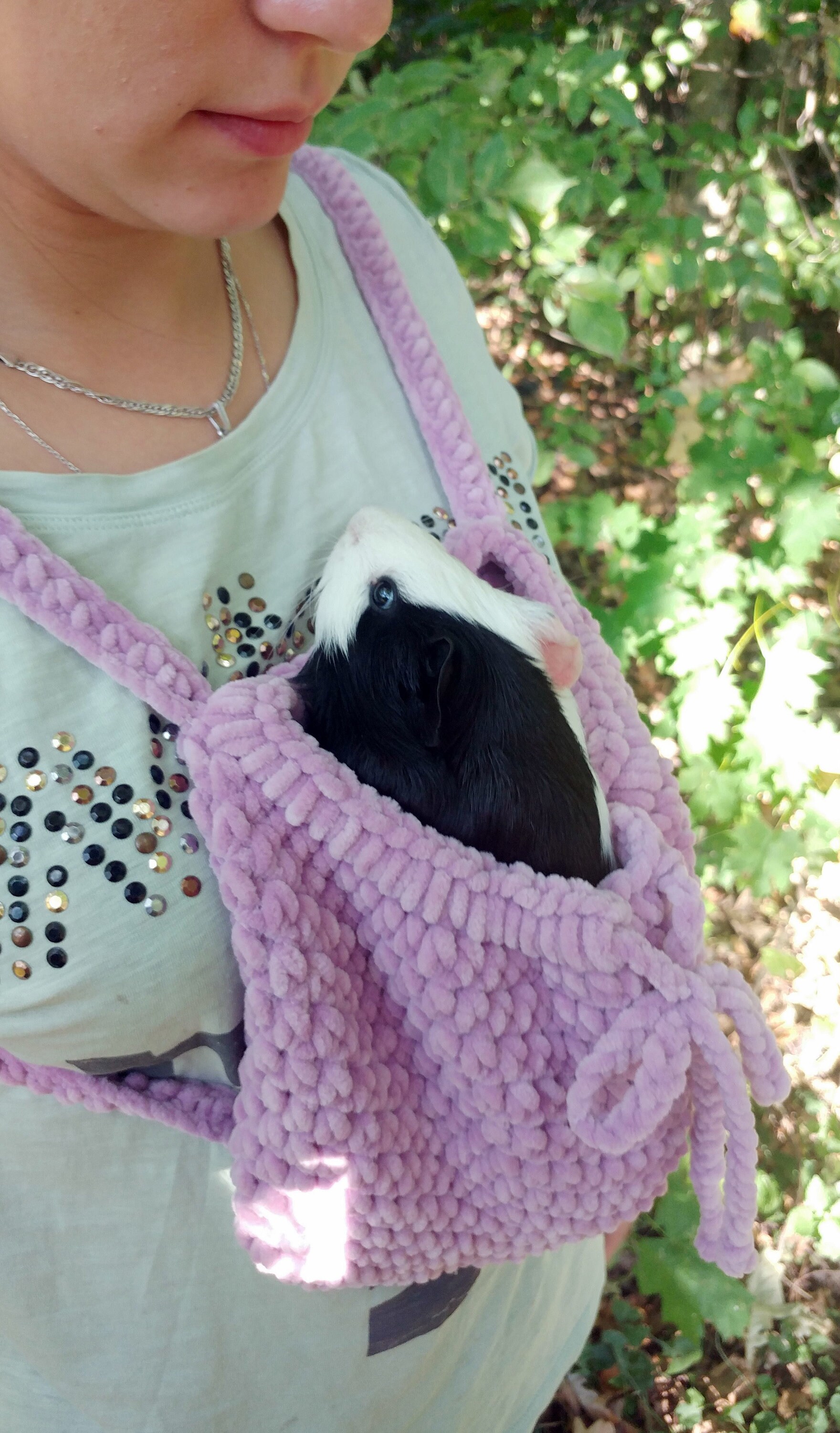 Guinea Pig Purple Carrier. Small Pet Soft Cozy Carrier. Etsy