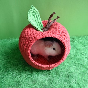 Guinea pig red apple house for cage. Small pet house. Funny guinea pig gift image 9