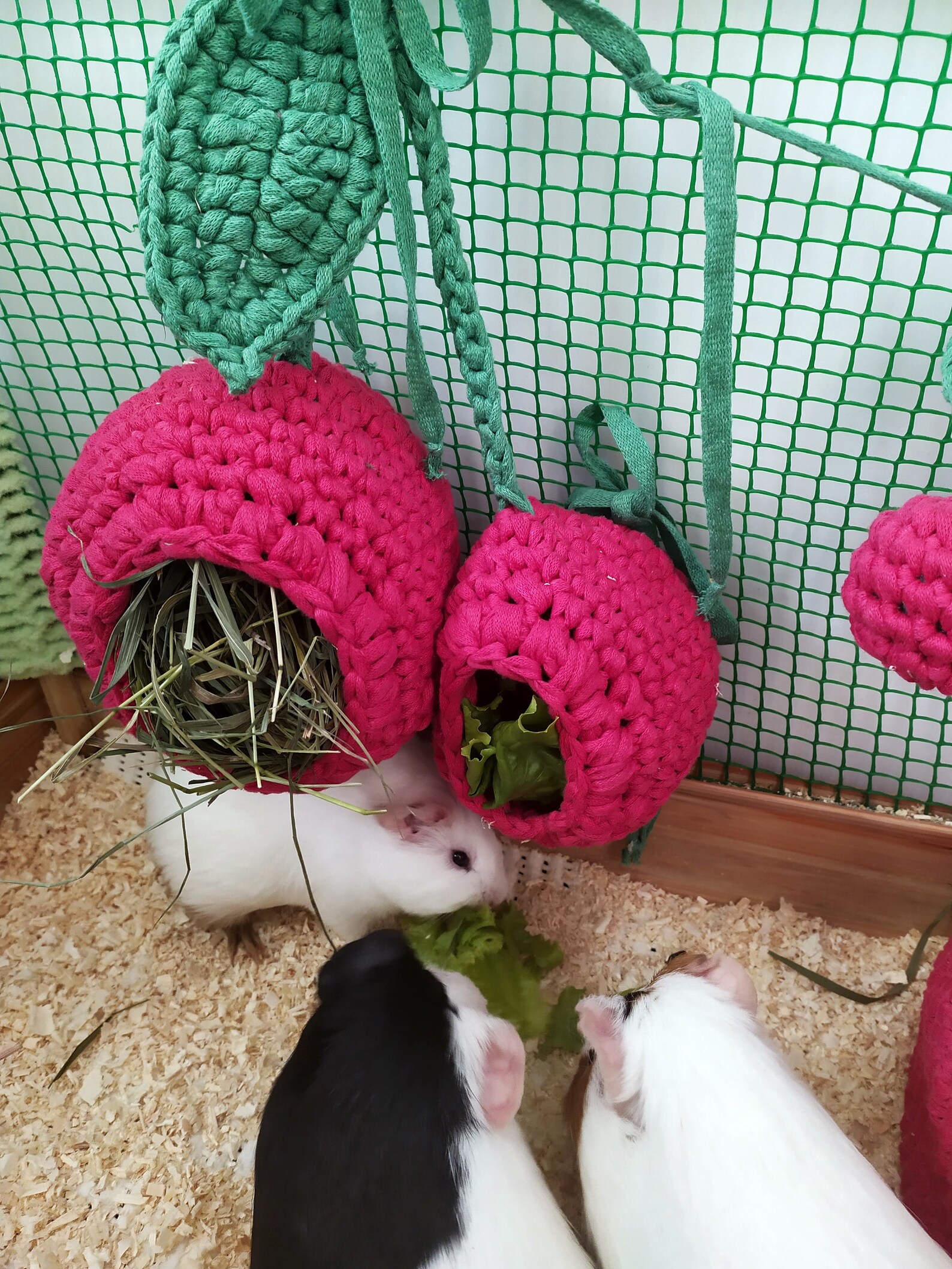Guinea Pig Cherry DOUBLE HAY FEEDER Small Pet Cherry Hay Bag Etsy