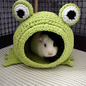 Guinea pig frog house for cage. Small pet house. Funny guinea pig gift image 5