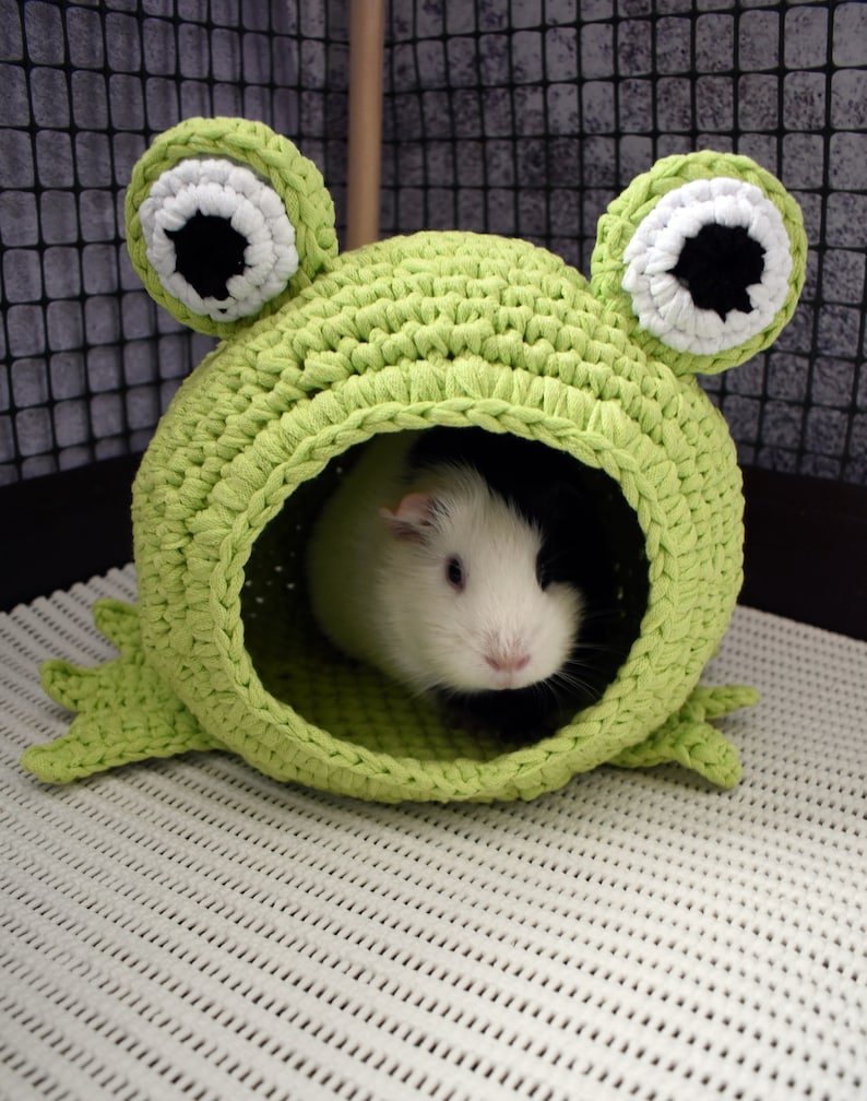 Guinea pig frog house for cage. Small pet house. Funny guinea pig gift image 5