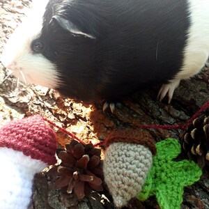 Peut inclure: Un cochon d'Inde noir et blanc est assis sur une branche d'arbre avec une guirlande de champignons, de glands et de feuilles en crochet. La guirlande est faite de fil rouge, brun, blanc et vert.