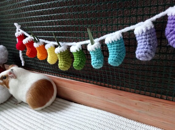 Christmas Garland in Cage for Guinea Pig Advent Calendar for Guinea Pig -  Etsy Israel