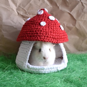 Mushroom House for Guinea Pig • Small pet house • Funny guinea pig gift