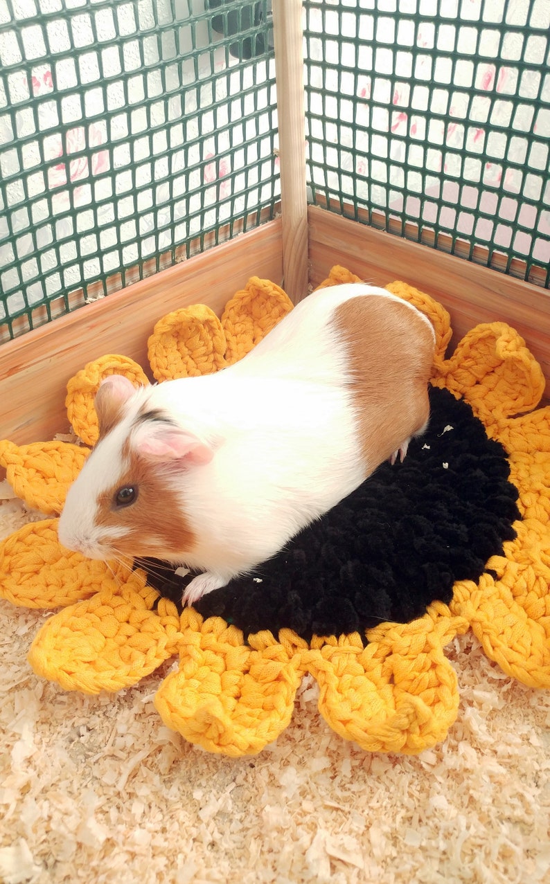 Sunflower guinea pig cozy soft bed. Small pet soft bed. image 3