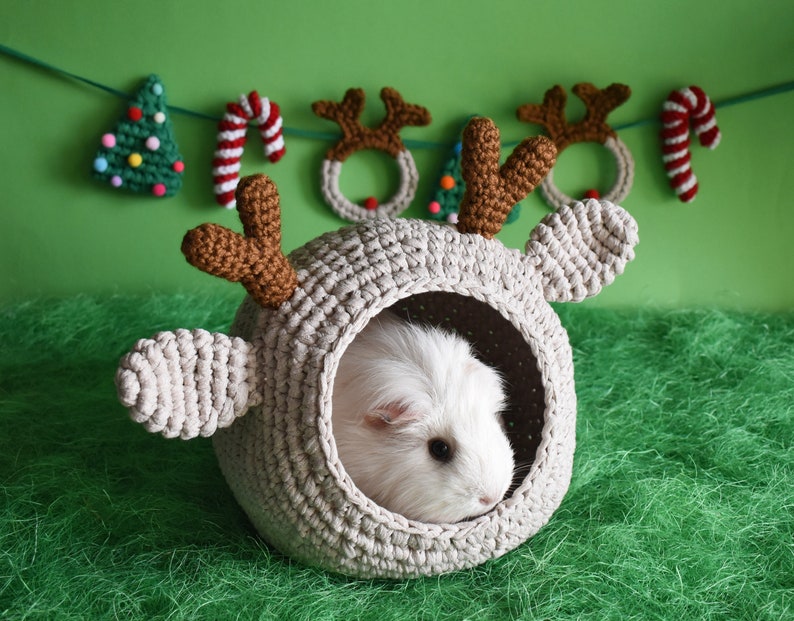 A white guinea pig inside a bed shaped like a reindeer with a holiday garland behind it