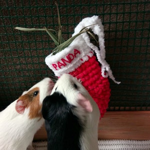 Personalized guinea pig christmas stocking Funny guinea pig Christmas gift image 3