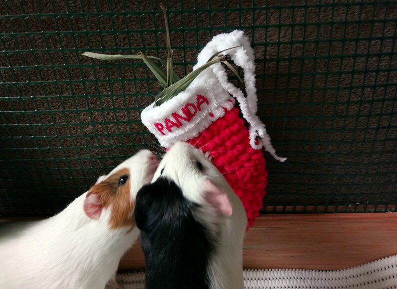 Personalized guinea pig christmas stocking Funny guinea pig Christmas gift image 3