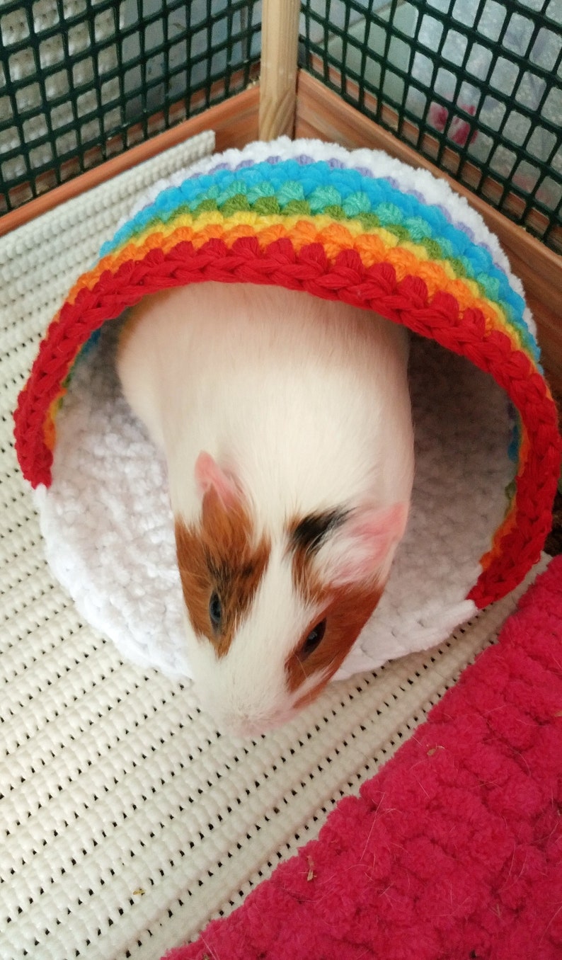 Rainbow guinea pig bed house Cozy small pet gift idea | Etsy
