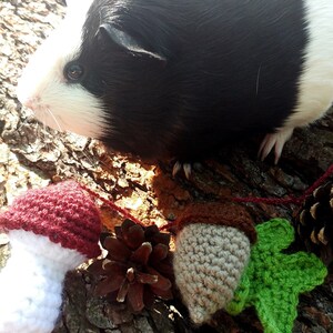 Peut inclure: Un cochon d'Inde noir et blanc est assis sur un tronc d'arbre avec une guirlande en crochet de champignons, de glands et de feuilles. La guirlande est faite de fil brun, rouge, blanc et vert.
