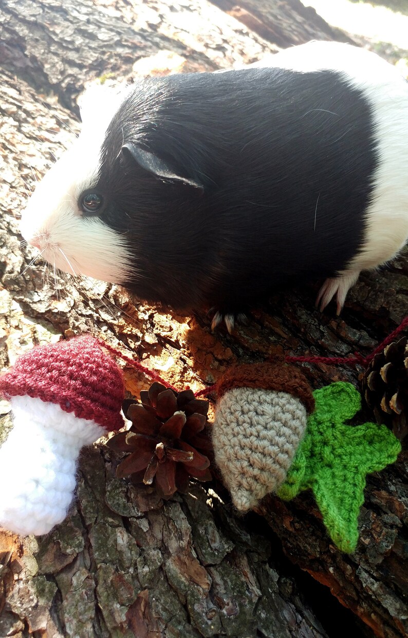 Peut inclure: Un cochon d'Inde noir et blanc est assis sur un tronc d'arbre avec une guirlande en crochet de champignons, de glands et de feuilles. La guirlande est faite de fil brun, rouge, blanc et vert.