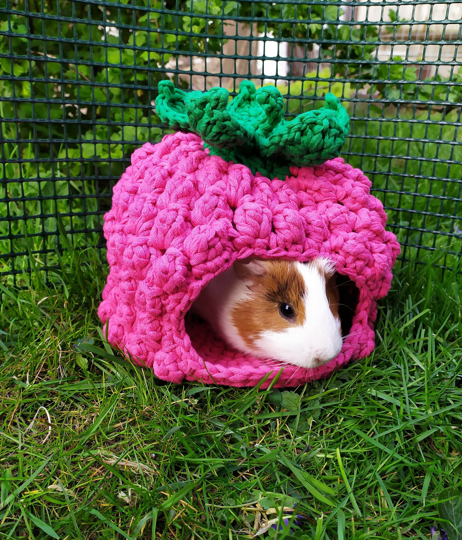 Guinea Pig Raspberry House. Cozy Raspberry House for Small Etsy