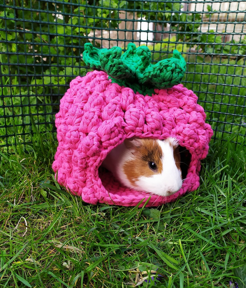 Guinea pig Raspberry house. Cozy Raspberry house for small Etsy