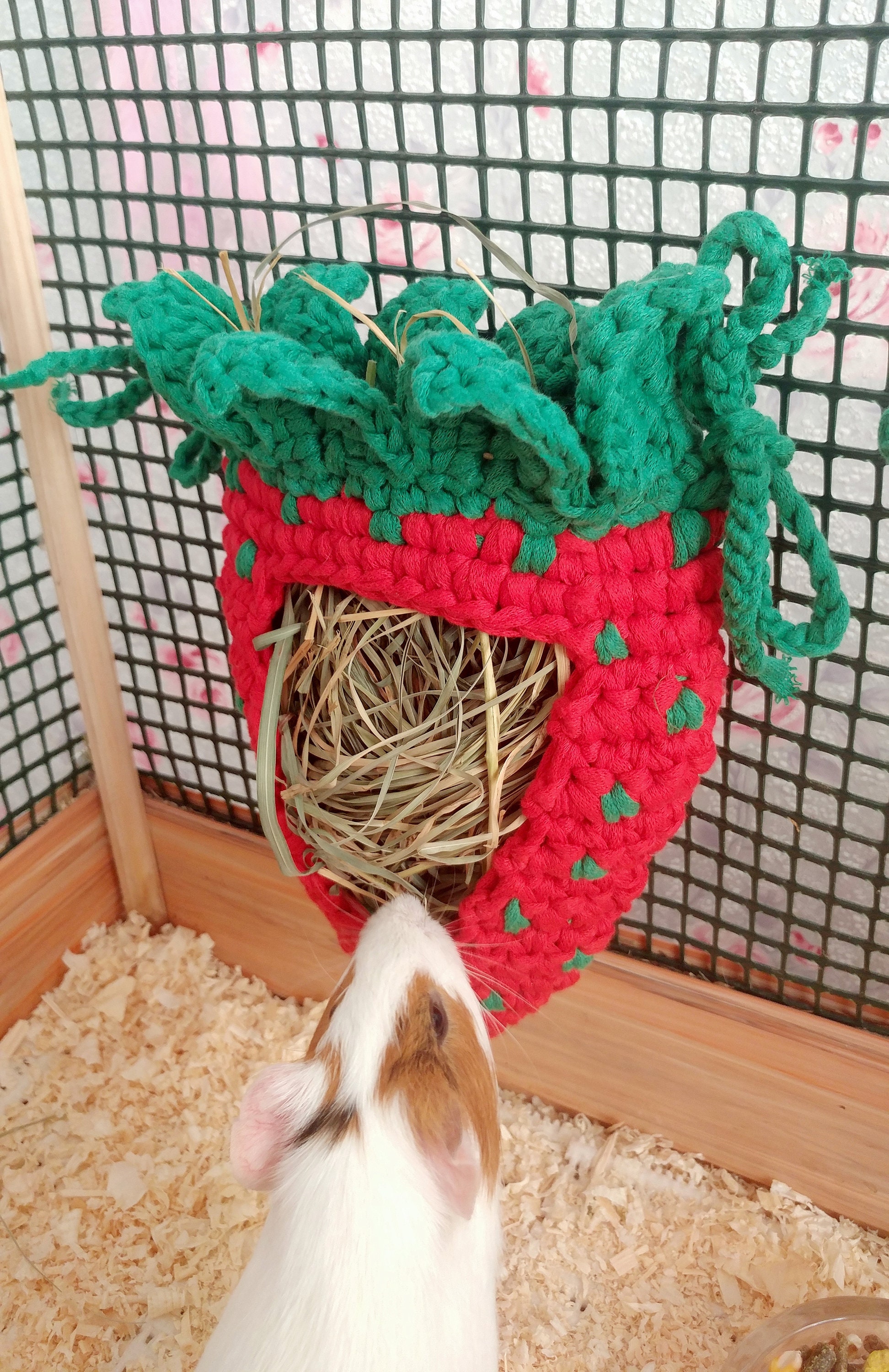Rabbit Hay Feeder Hanging Hay Feeder For Rabbits & Small Pets - 2-Window Design (Corn Pattern) Hay Holder For Rabbits