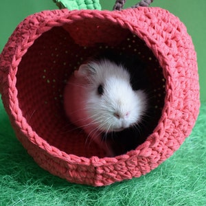 Guinea pig red apple house for cage. Small pet house. Funny guinea pig gift image 7