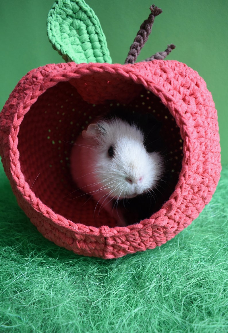 Guinea pig red apple house for cage. Small pet house. Funny guinea pig gift image 7