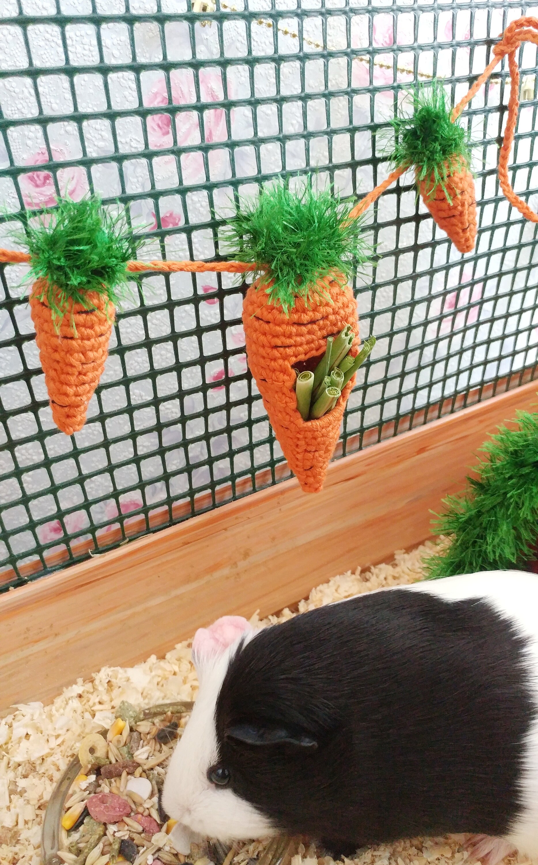 Guinea Pig Garland for Cage. Guinea Pigs Accessories. Small Etsy UK