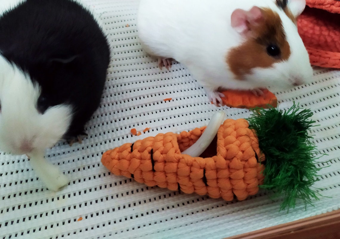 Carrot toy for guinea pigs or other small animal Best guinea Etsy
