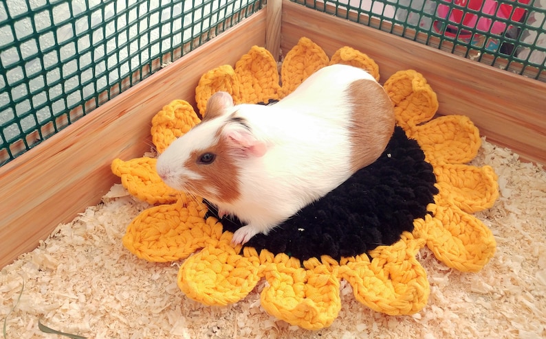 Sunflower guinea pig cozy soft bed. Small pet soft bed. image 1