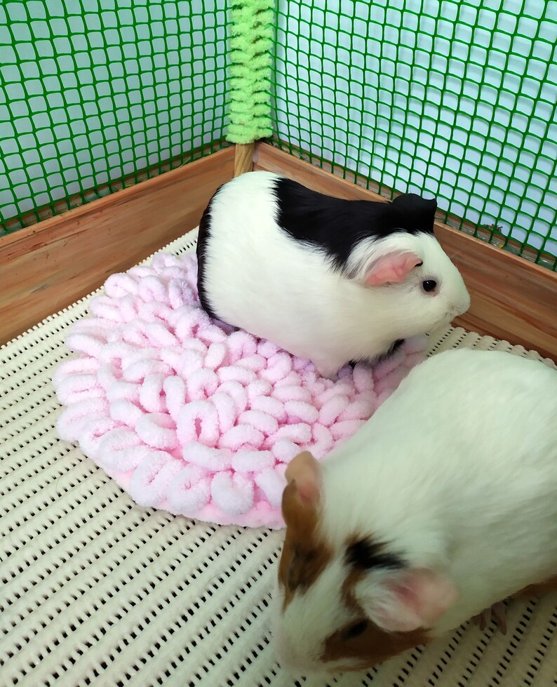 Guinea pig pink cozy soft bed. Small pet soft bed. | Etsy